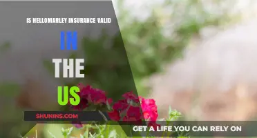 Is Hellomarley Insurance Valid in the US? A Comprehensive Review