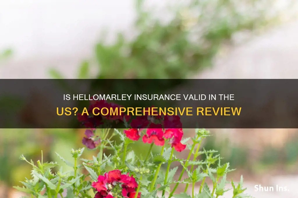 is hellomarley insurance valid in the us