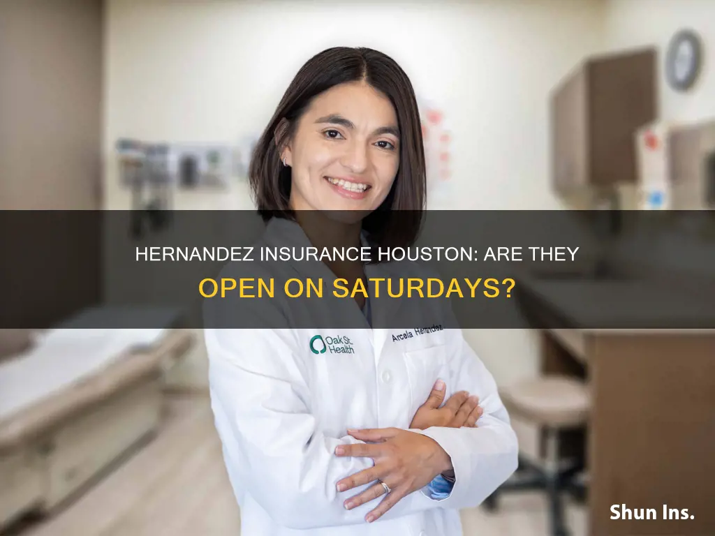 is hernandez insurance houston open on saturday