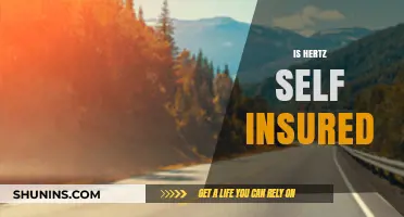 Is Hertz Self-Insured? Exploring the Company's Insurance Policies and Practices