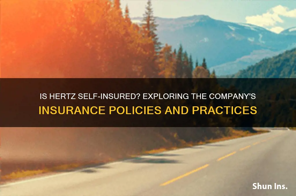 is hertz self insured