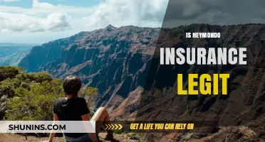Is Heymondo Insurance Legit? A Comprehensive Review and Analysis