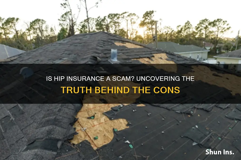 is hip insurance cons