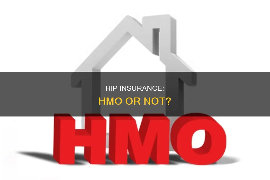 is hip insurance considered hmo