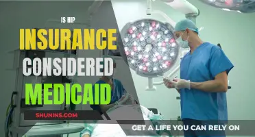 Hip Insurance: A Medicaid Alternative for the Elderly
