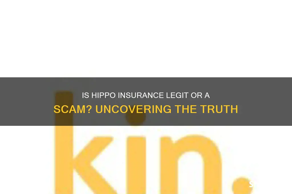 is hippo insurance a scam