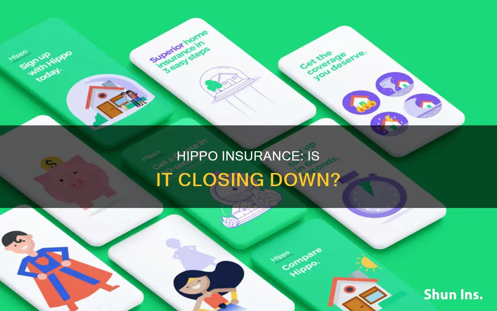 is hippo insurance going out of business