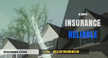 Is Hippo Insurance Reliable? A Comprehensive Review and Analysis