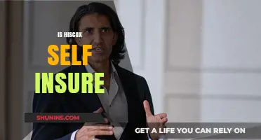 Is Hiscox Self-Insure? Understanding Their Risk Management Strategy