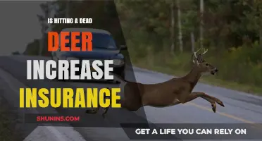 Does Hitting a Dead Deer Affect Your Car Insurance Rates?