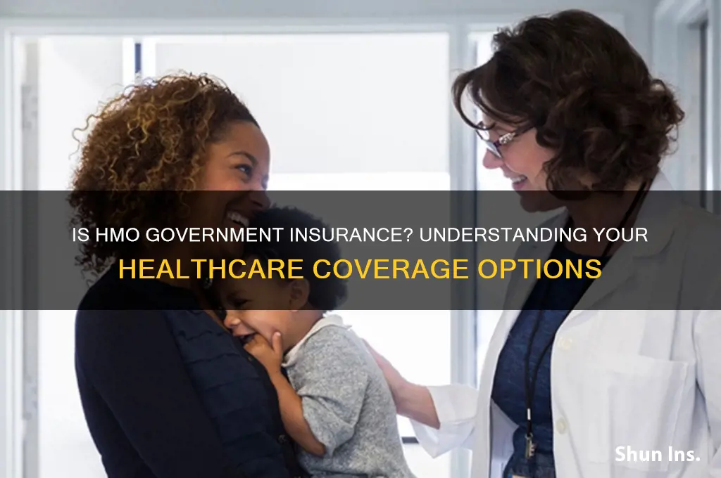 is hmo a government insurance