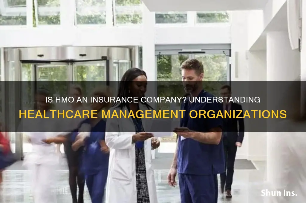 is hmo an insurance ompany