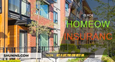 HO6 Homeowners Insurance: What You Need to Know