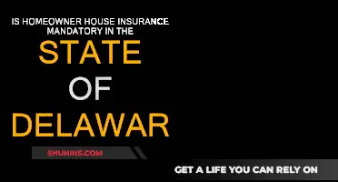 Homeowner House Insurance: Delaware's Mandatory Policy