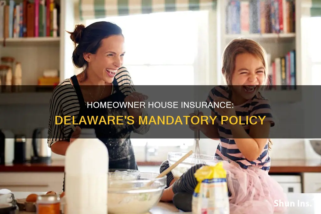 is homeowner house insurance mandatory in the state of delaware