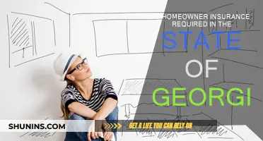 Homeowner Insurance: Is It Mandatory in Georgia?