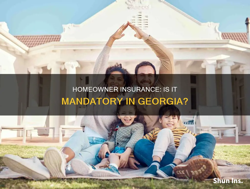 is homeowner insurance required in the state of georgia