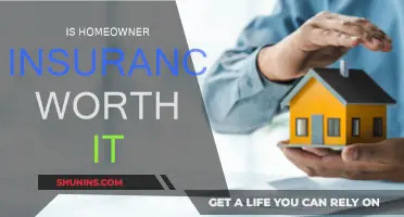 Homeowner Insurance: Necessary Expense or Unnecessary Cost?