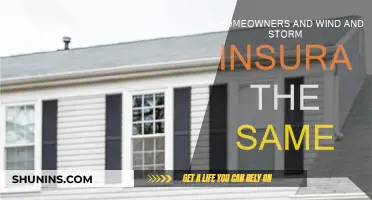 Homeowners Insurance: Does It Cover Wind and Storm Damage?