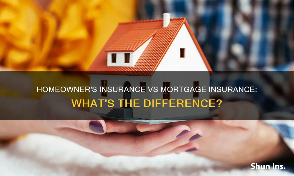 is homeowner
