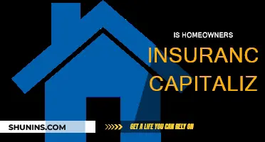 Homeowners Insurance: Capitalization Rules and Regulations