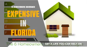 Homeowners Insurance in Florida: Expensive or Affordable?