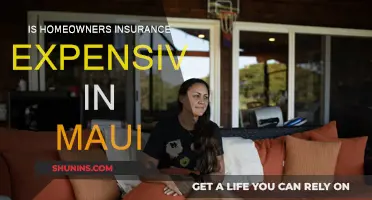 Home Insurance in Maui: Affordable or Not?