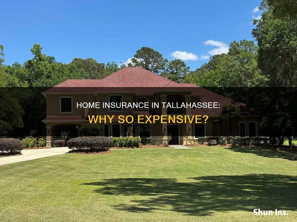 is homeowners insurance high in tallahassee florida