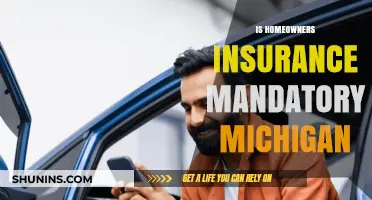 Homeowners Insurance in Michigan: Is It Compulsory?