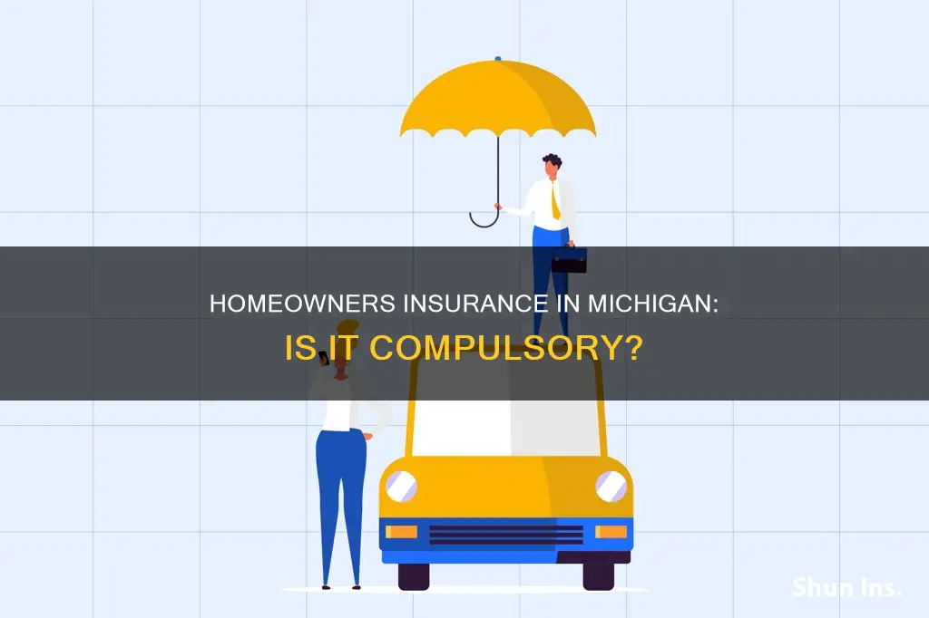 is homeowners insurance mandatory michigan