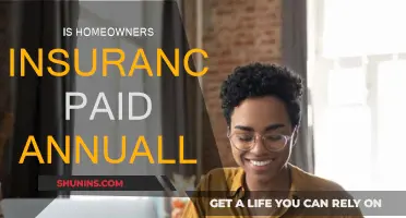 Homeowners Insurance: Annual Payment or Monthly Subscription?