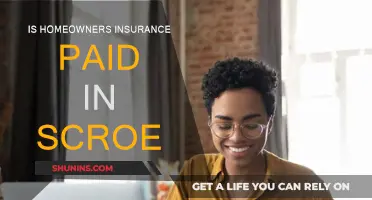 Homeowners Insurance: Is It Worth the Cost?