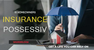 The Importance of Possessive Homeowners Insurance