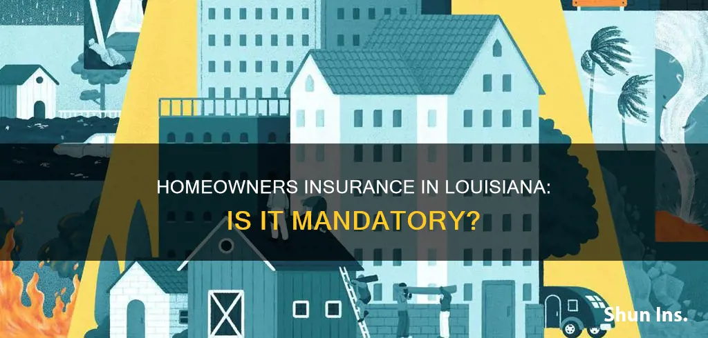 is homeowners insurance required in louisiana