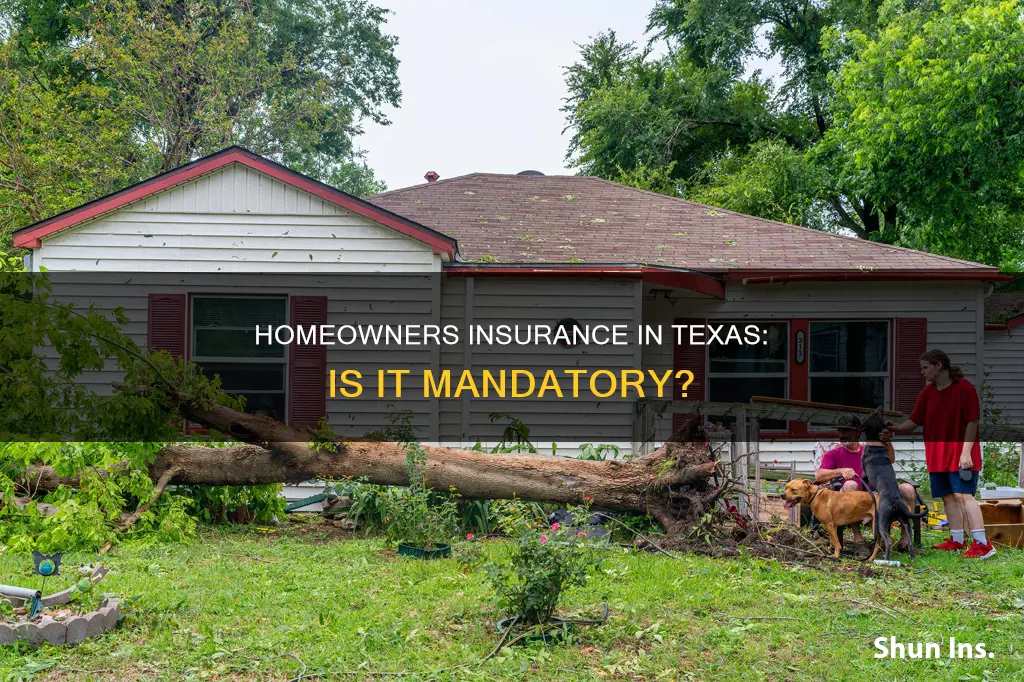 is homeowners insurance required in Texas