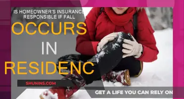 Homeowner's Insurance: Falls and Liability