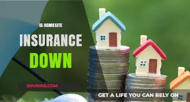 Is Homesite Insurance Down? Understanding Current Status and Customer Impact