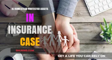 Homestead Protection: Safeguarding Assets in Insurance Claims Explained