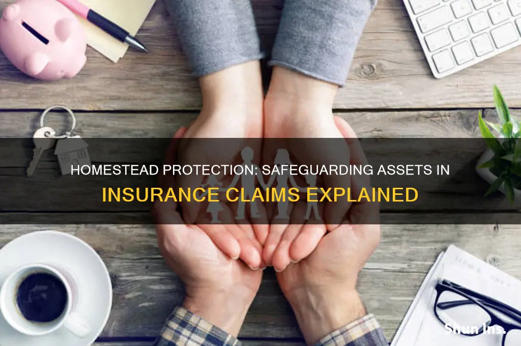 is homestead protected assets in insurance case