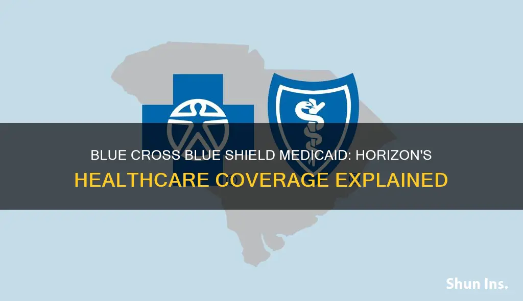 is horizon blue cross blue shield medicaid