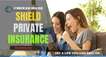 Blue Cross Blue Shield: Private Insurance or Public Option?