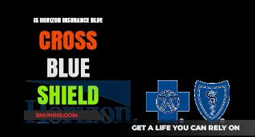 Is Horizon Insurance Affiliated with Blue Cross Blue Shield?