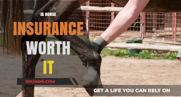 Horse Insurance: Worth the Cost?