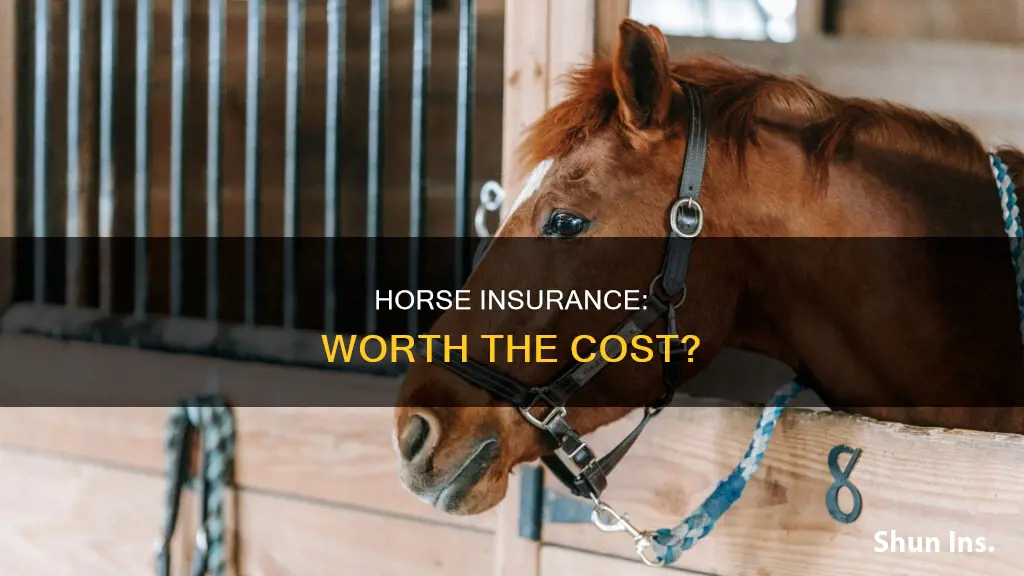 is horse insurance worth it