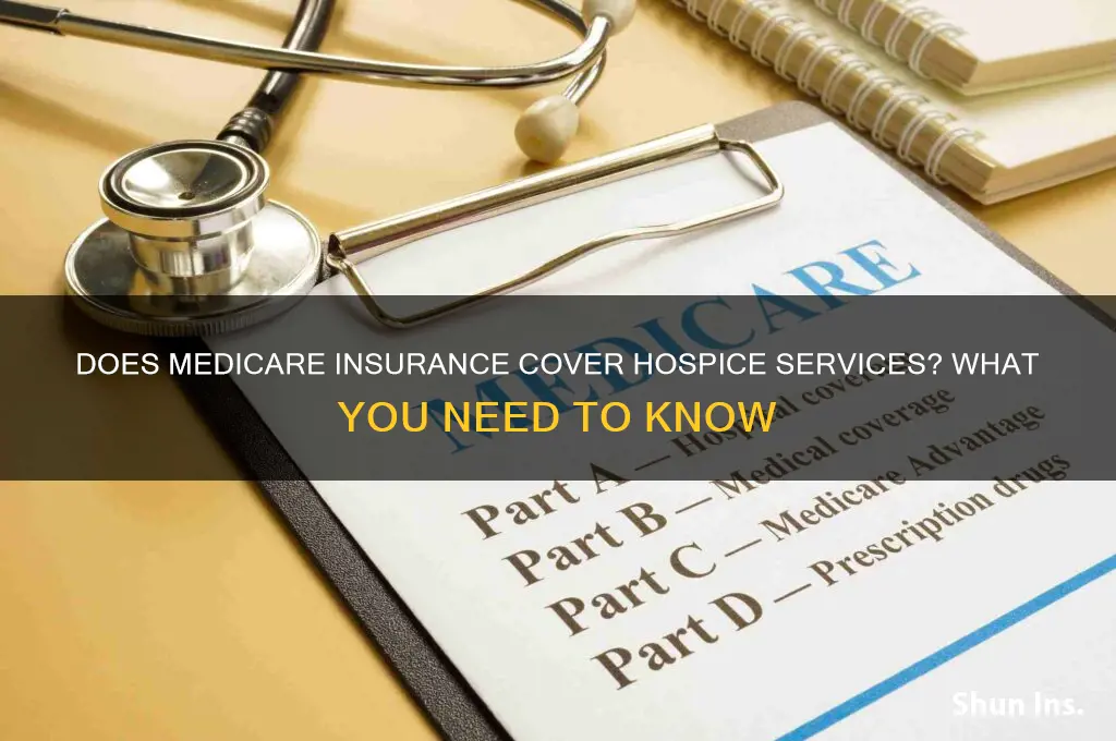 is hospice servi paid by med insurance