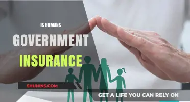 Is Government Insurance the Future of Human Security?