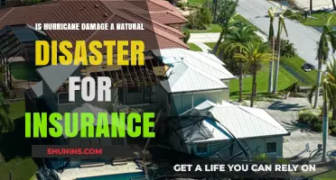 Is Hurricane Damage Covered as a Natural Disaster in Insurance?