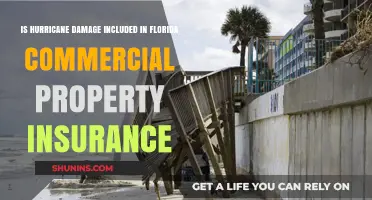 Florida Commercial Property Insurance: Hurricane Damage Covered?
