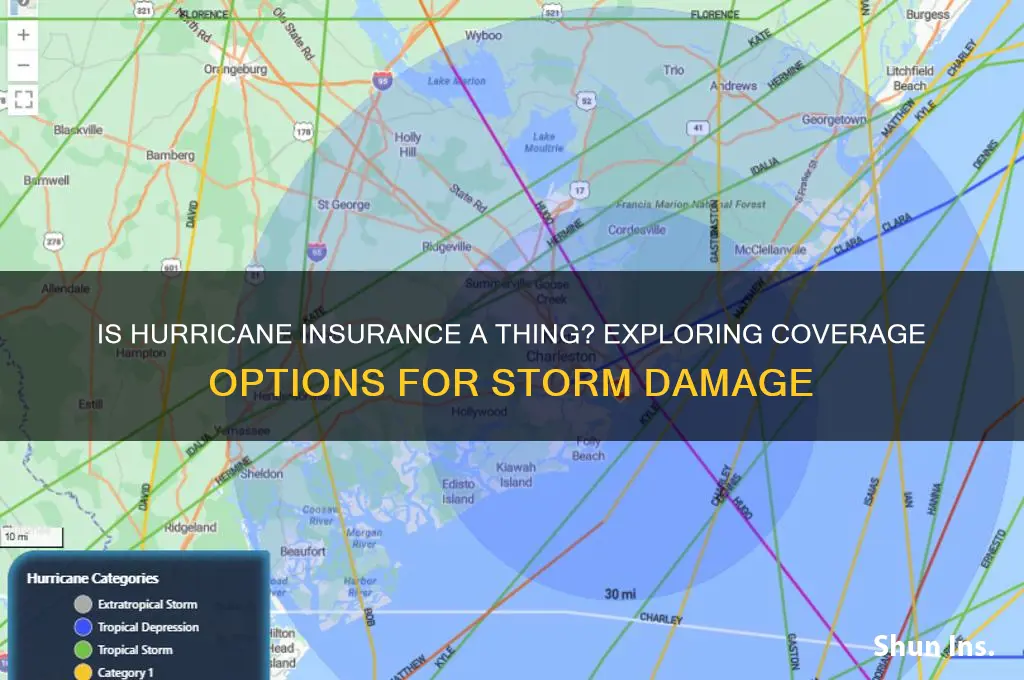 is hurricane insurance a thing