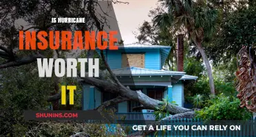 Hurricane Insurance: Worth the Cost?